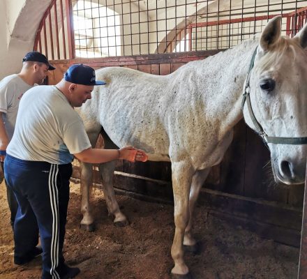 IMG_20220512_100250-23-scaled